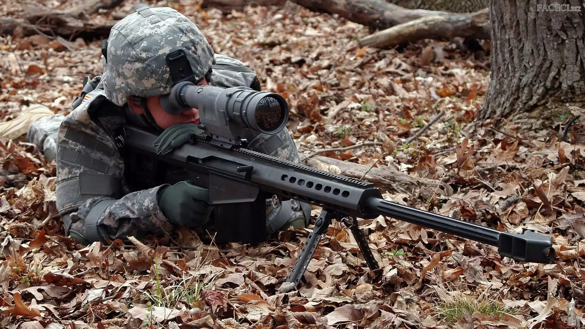 Liście, Snajper, Snajperka